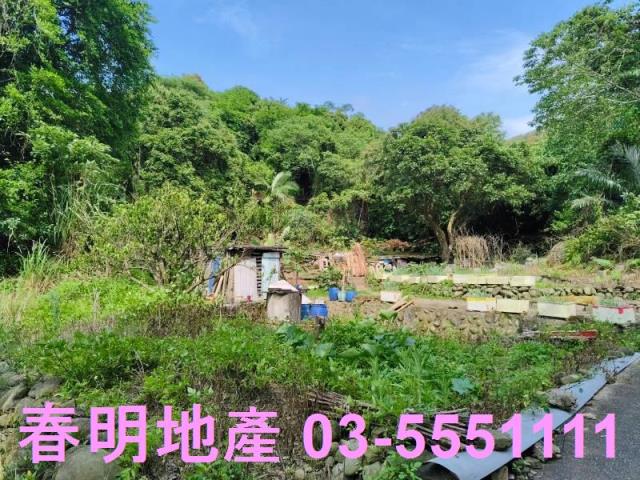 新竹農地-14
