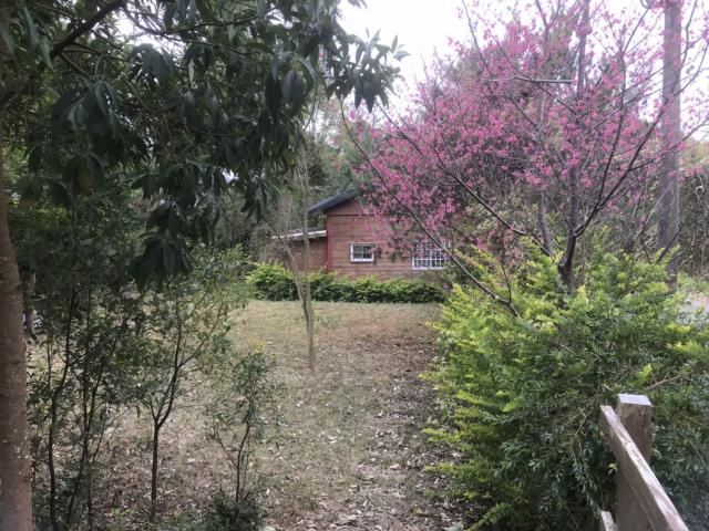 苗栗農地-4