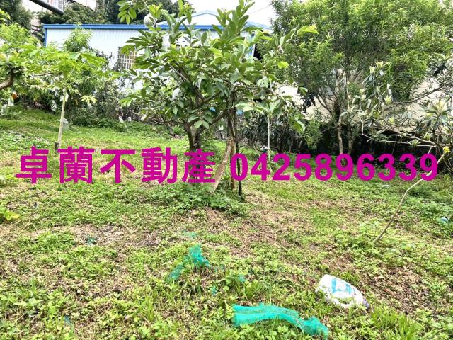 苗栗卓蘭農地-8