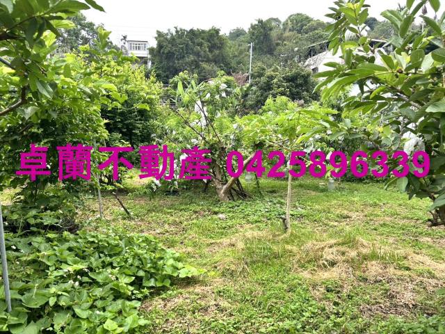 苗栗卓蘭農地-9
