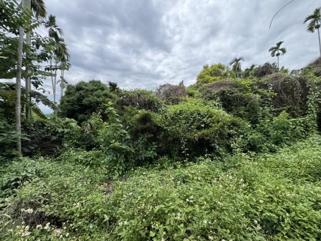 南投南投市農地-2