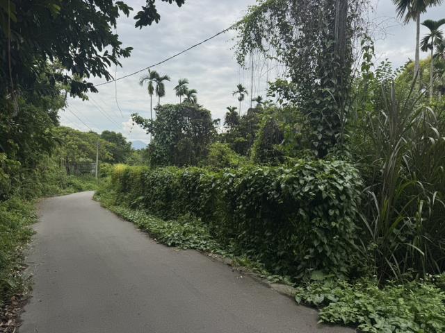 南投南投市農地-4