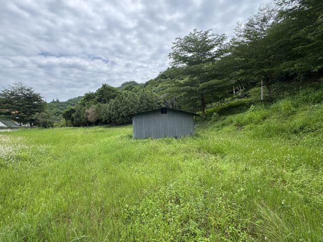 南投名間農地-1