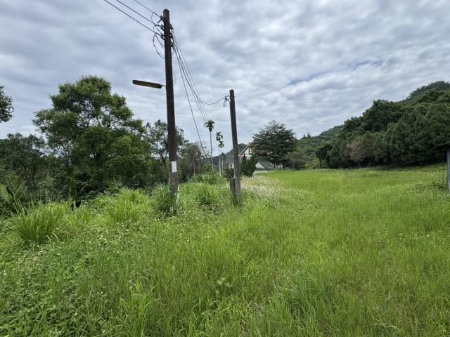 南投名間農地-2
