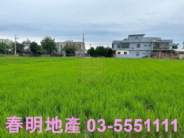 新豐農地-0