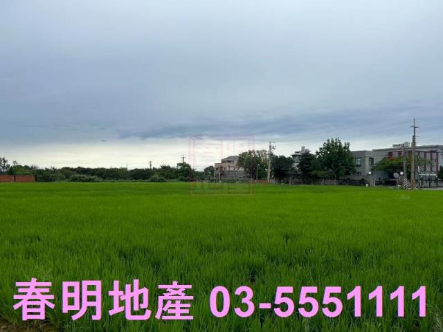 新豐農地-1