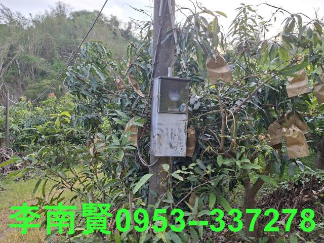 玉井農地-10