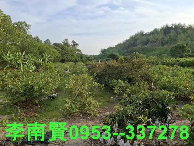玉井農地-8