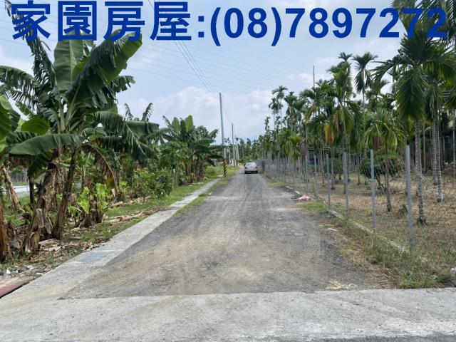 內埔農地-2