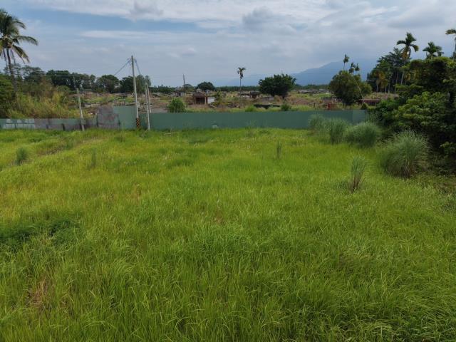 萬巒農地-5