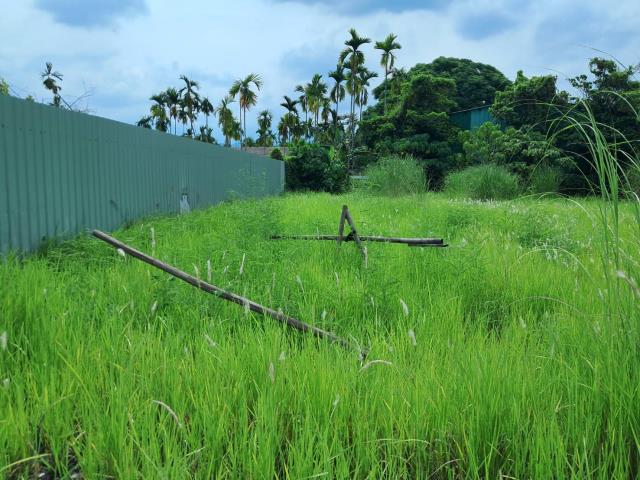萬巒農地-11
