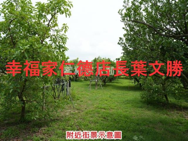 麻豆農地-12