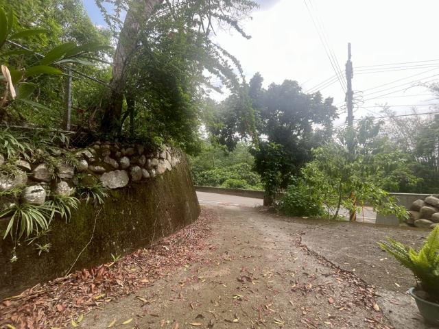 台中太平農地_山坡地-10