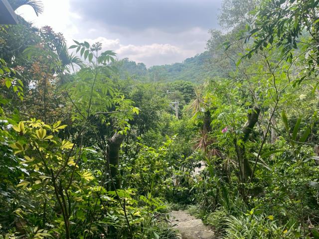 台中太平農地_山坡地-11