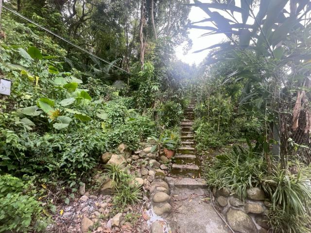 台中太平農地_山坡地-13