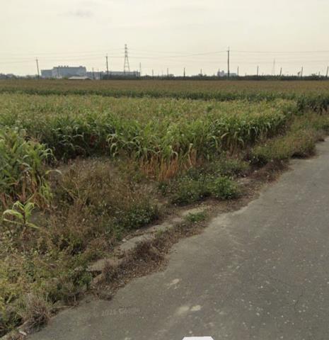 台南新營農地-4