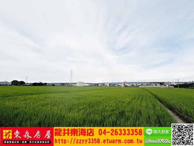 台中龍井農地-4