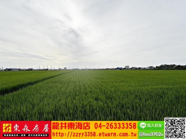 台中龍井農地-2