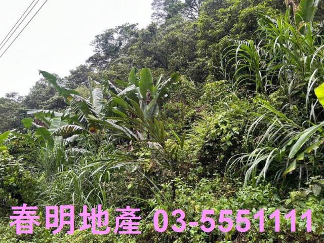新竹芎林林地-10