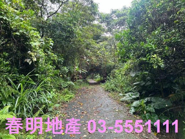 新竹芎林林地-11