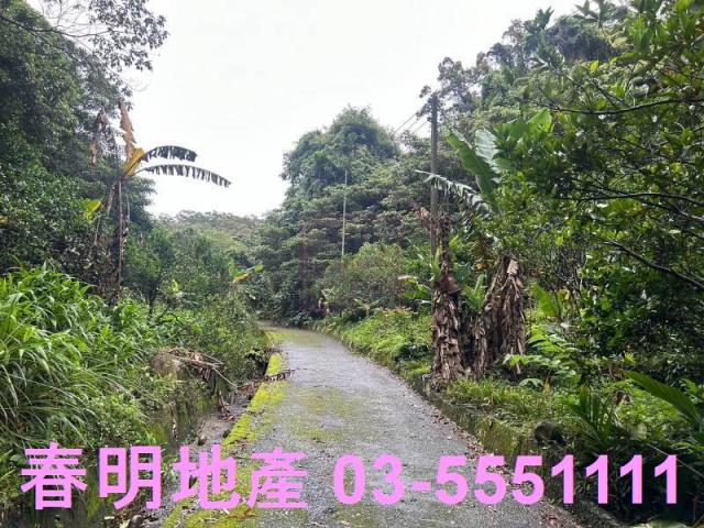 新竹芎林林地-12