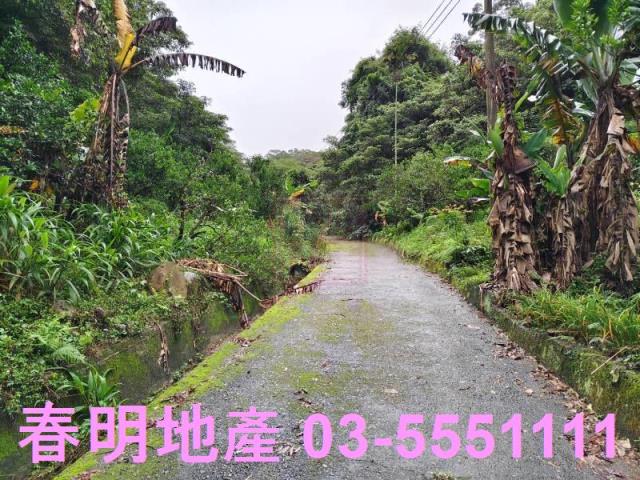 新竹芎林林地-3
