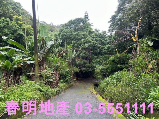 新竹芎林林地-6