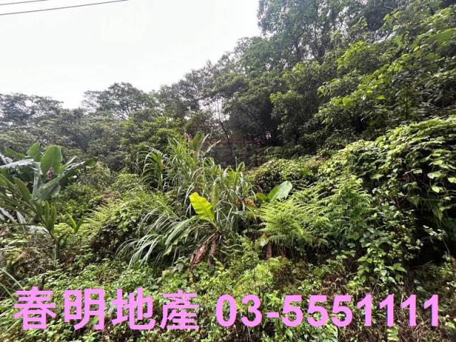 新竹芎林林地-9