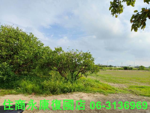 台南佳里農地-13