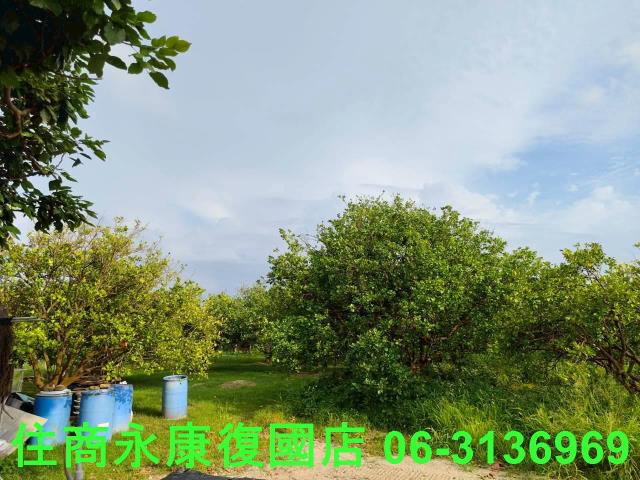 台南佳里農地-14