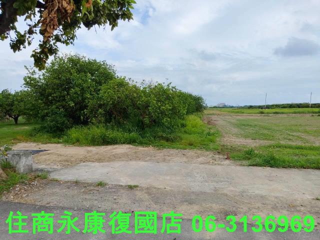 台南佳里農地-3