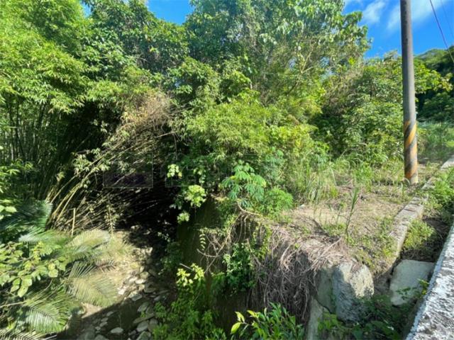台南東山農地-10