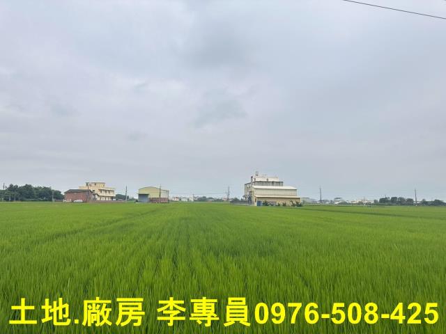 埤頭農地-4
