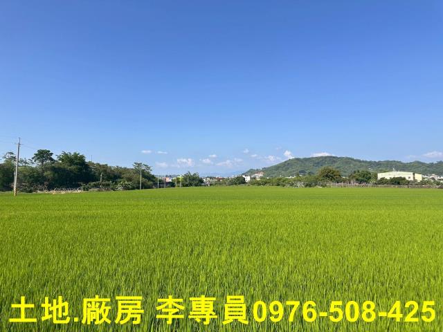 草屯農地-1