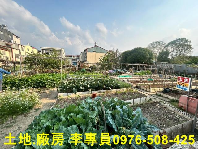 埔里農地-1