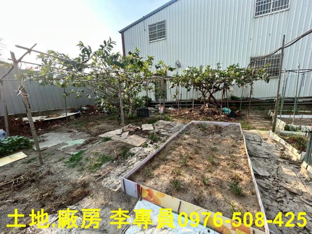 埔里農地-3
