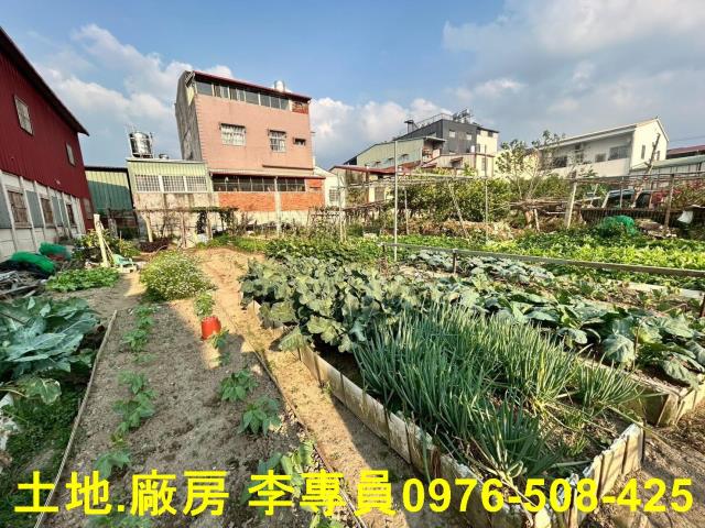 埔里農地-6