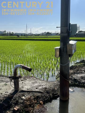 竹塘農地-4