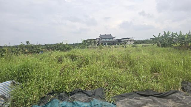 岡山農地-3