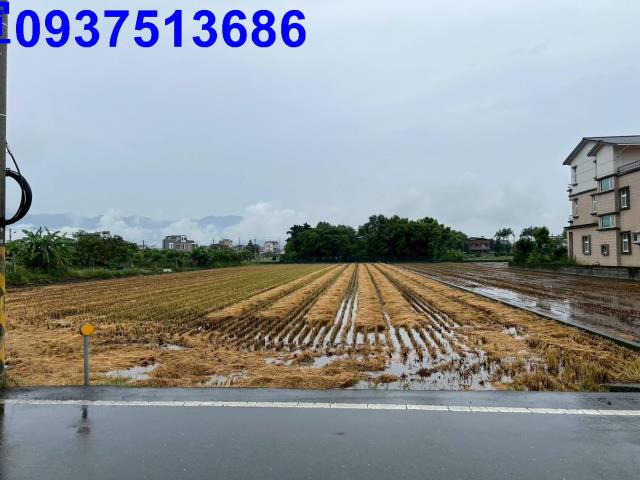 員山農地-10