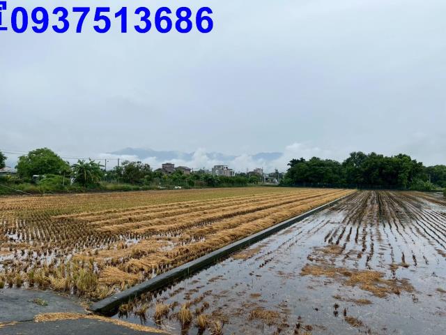 員山農地-4