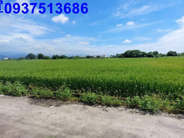 員山農地-3