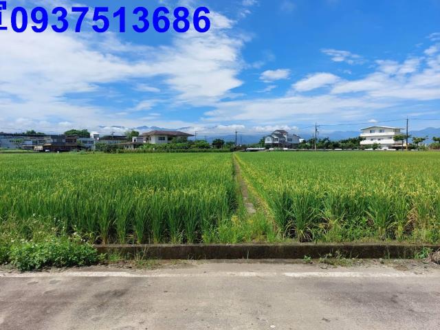 員山農地-8