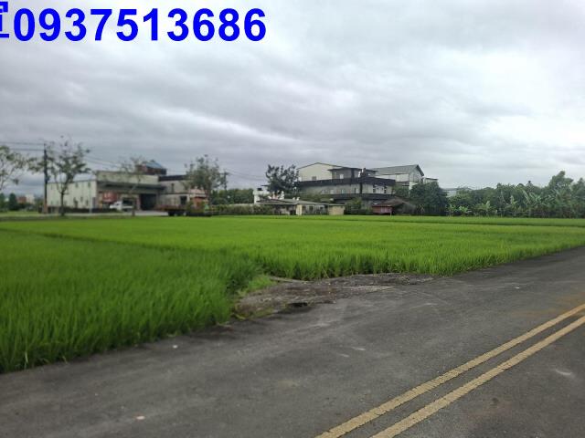 員山農地-1