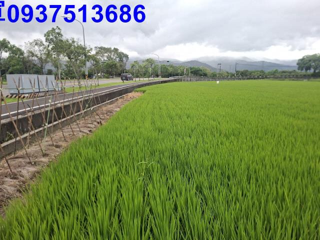 員山農地-3