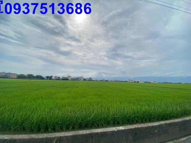 壯圍農地-2