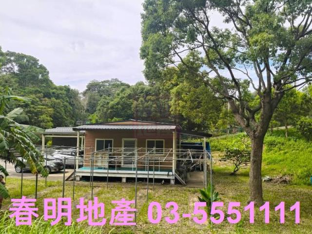 苗栗農地-5