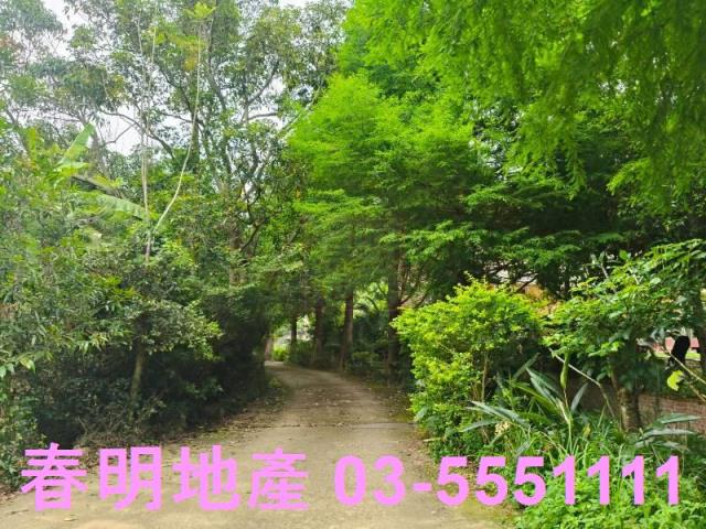 苗栗農地-8