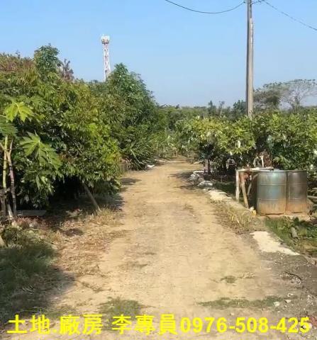 高雄農地-4