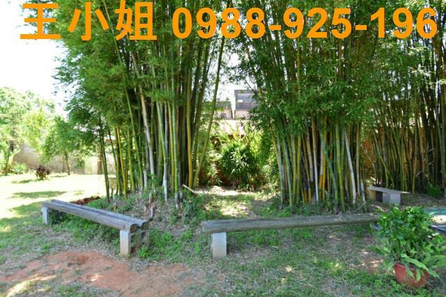 桃園農地-7